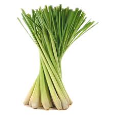 Herbs Lemon Grass Kg