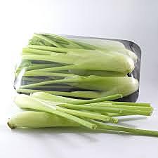 Herbs Fennel Bulb Packet