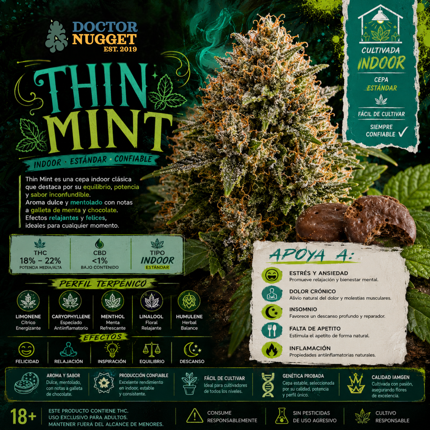Dr. Nugget Thin Mint THC Flor