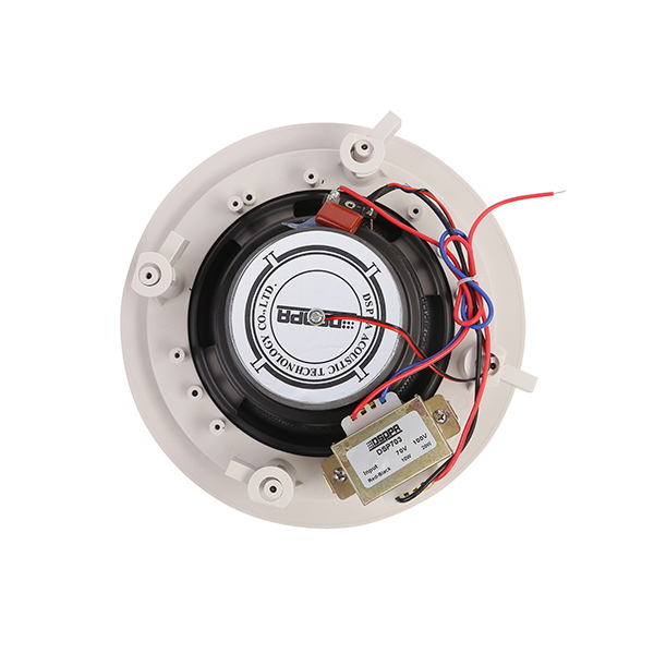 DSP703W - 6.5” - 20W DSP703W - 6.5” - 20W