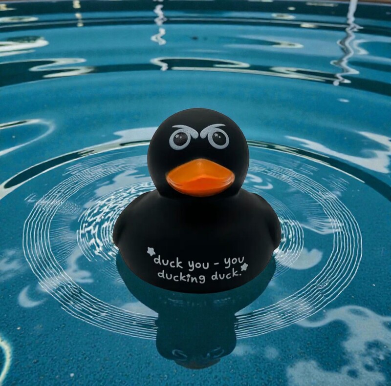 Rubber Duck- Duck You You Ducking Duck