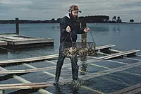 DUNLOP 8677508 Chesapeake Boots, 100% Waterproof PVC, Lightweight And Durable Protective Footwear, Size 8