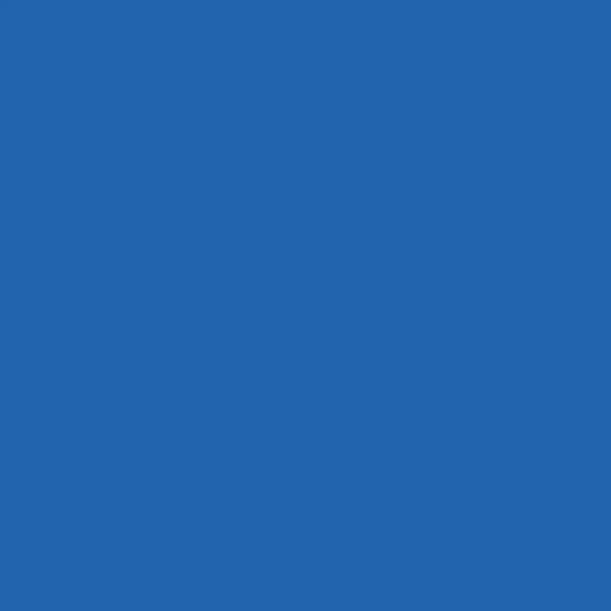 Dupli-Color Perfect Match Automotive Spray Paint