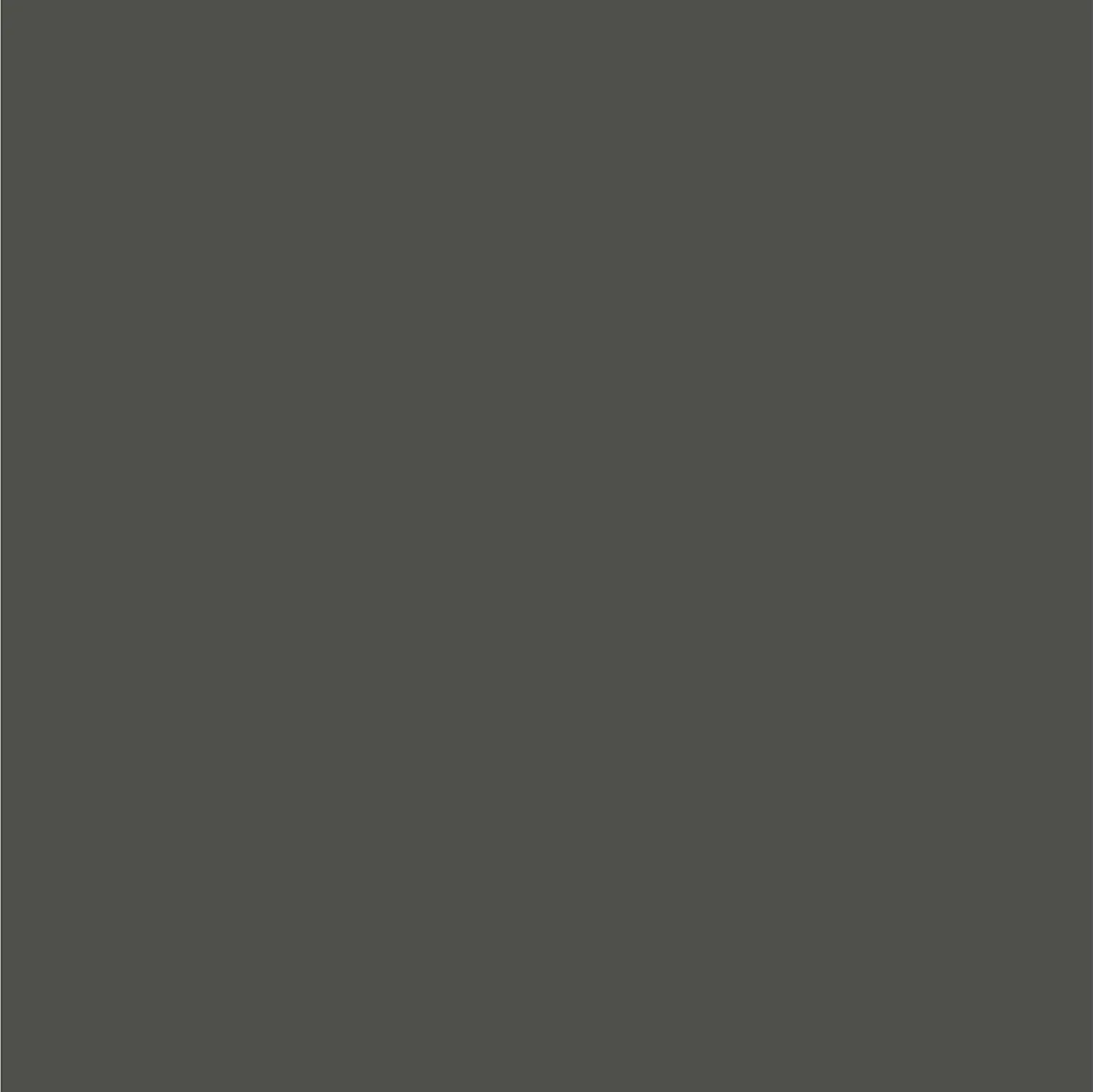 Dupli-Color Perfect Match Automotive Spray Paint