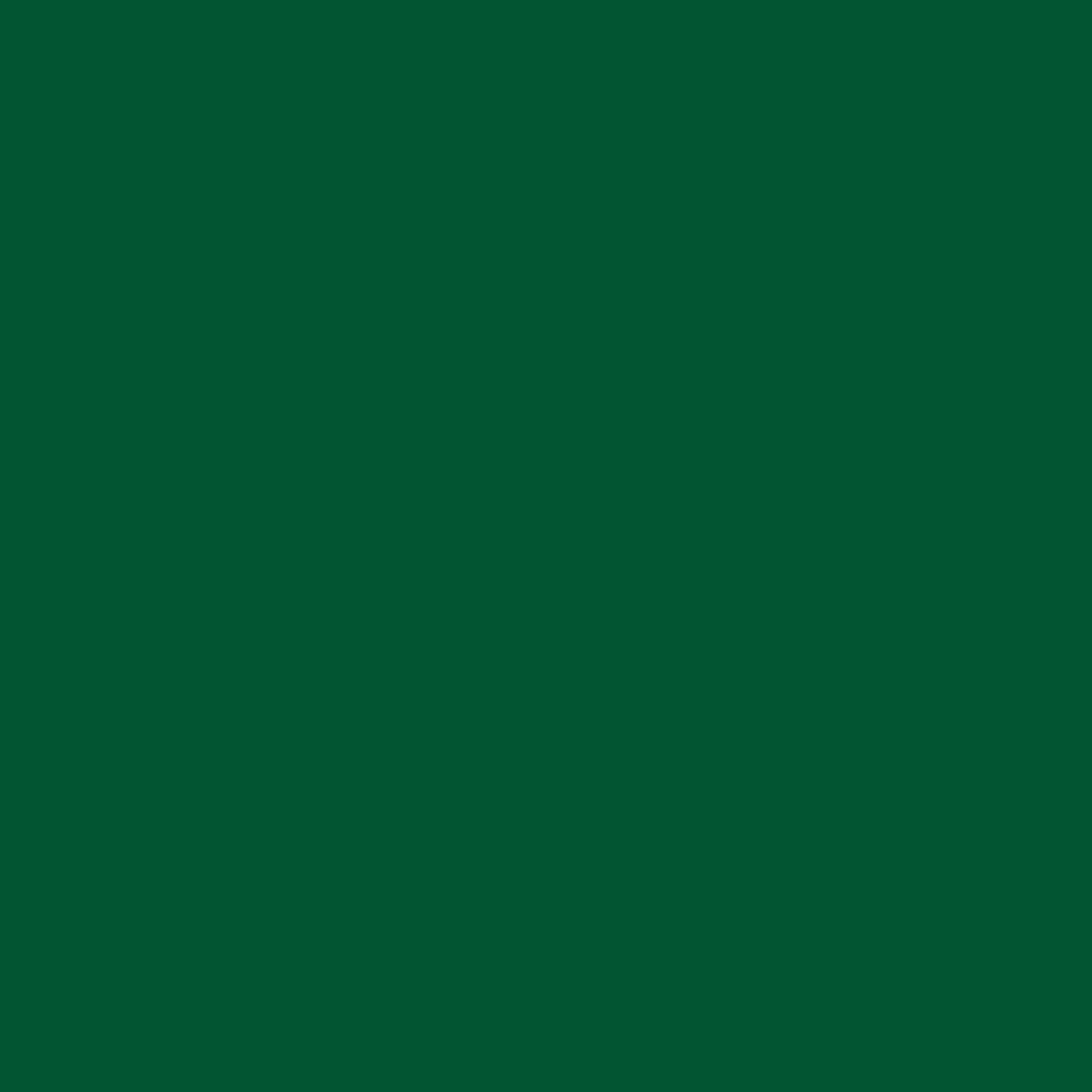 Dupli-Color Perfect Match Automotive Spray Paint
