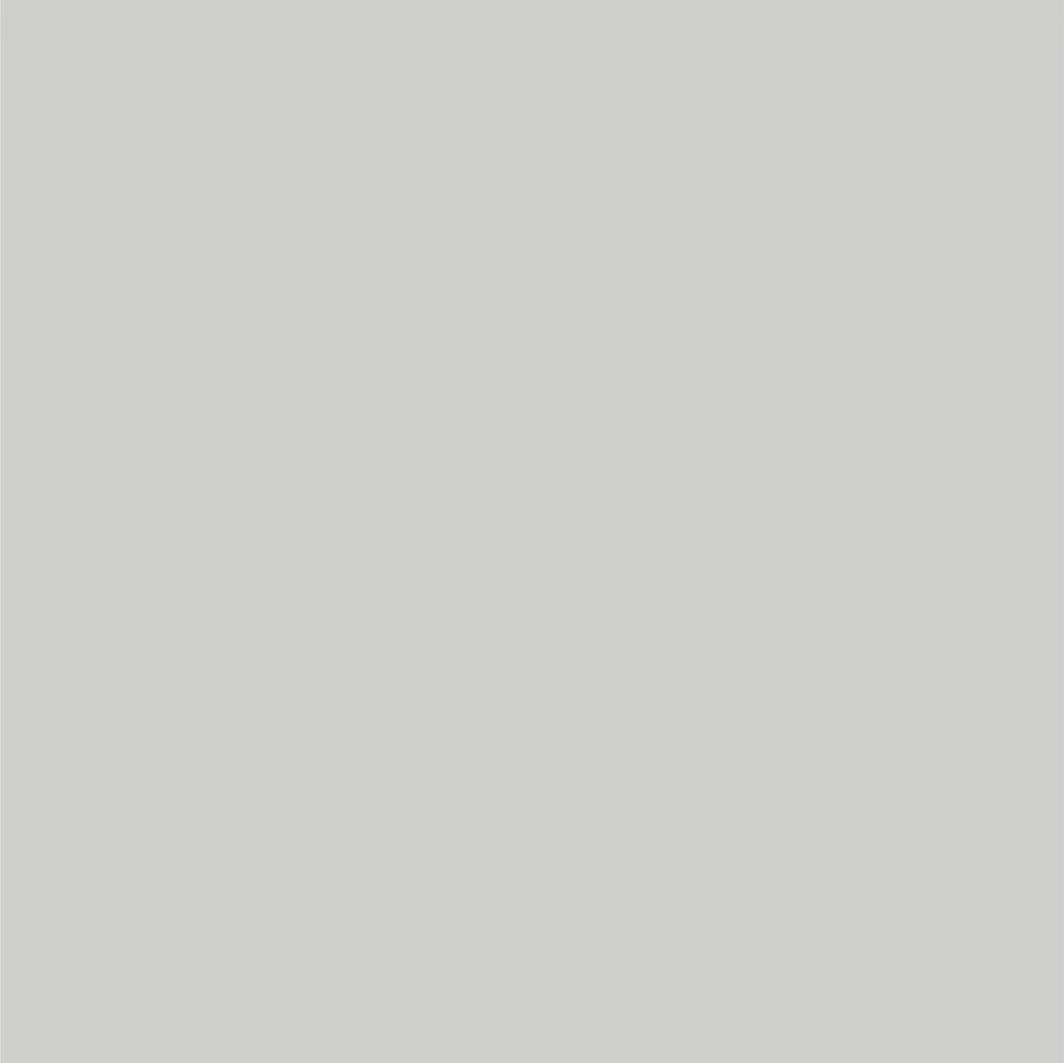 Dupli-Color Perfect Match Automotive Spray Paint