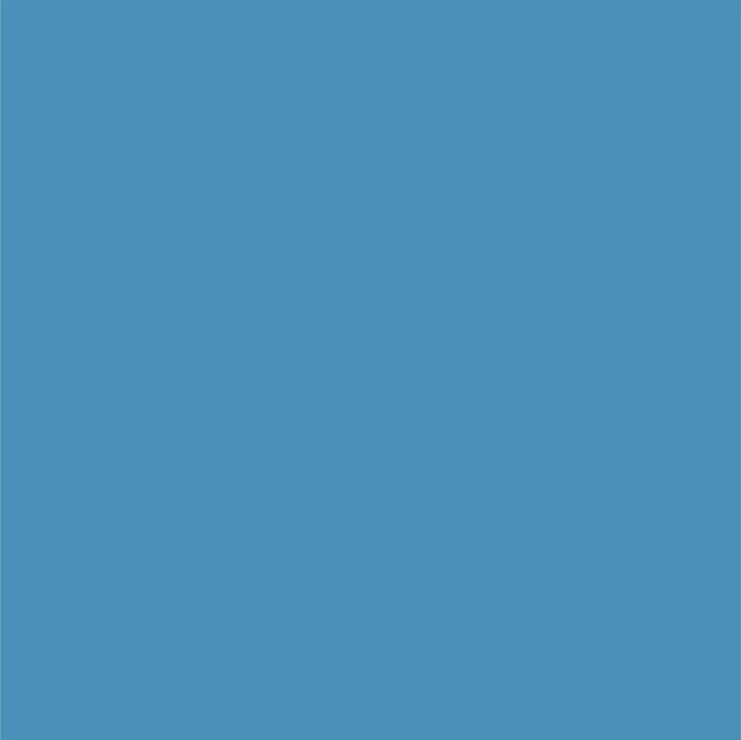 Dupli-Color Perfect Match Automotive Spray Paint