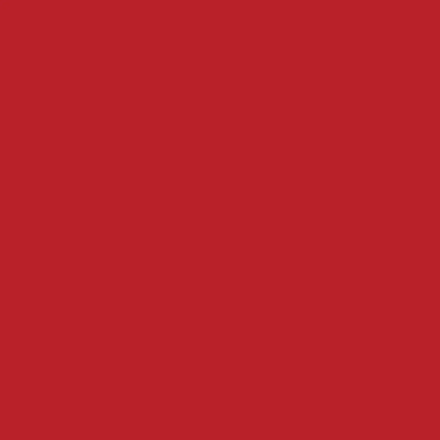 Dupli-Color Perfect Match Automotive Spray Paint
