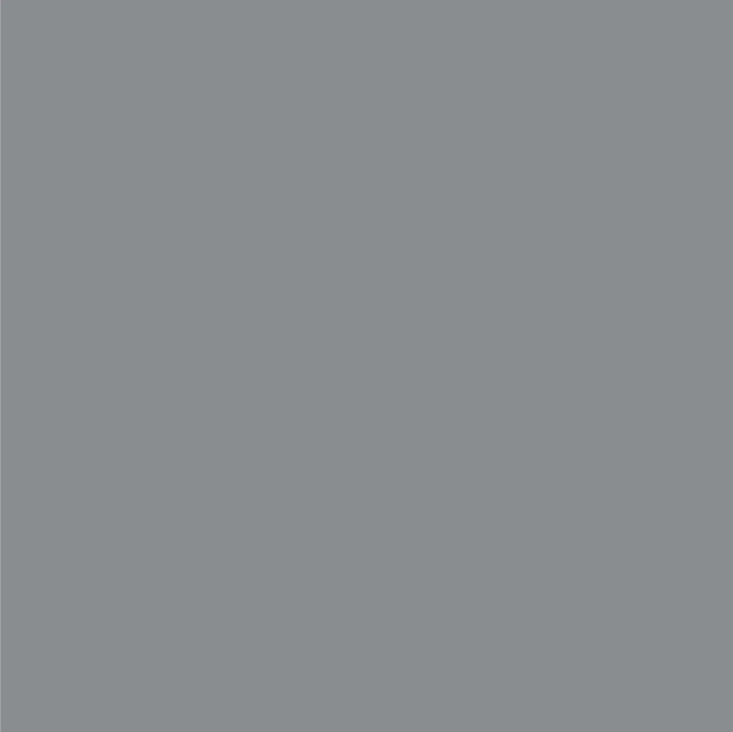 Dupli-Color Perfect Match Automotive Spray Paint