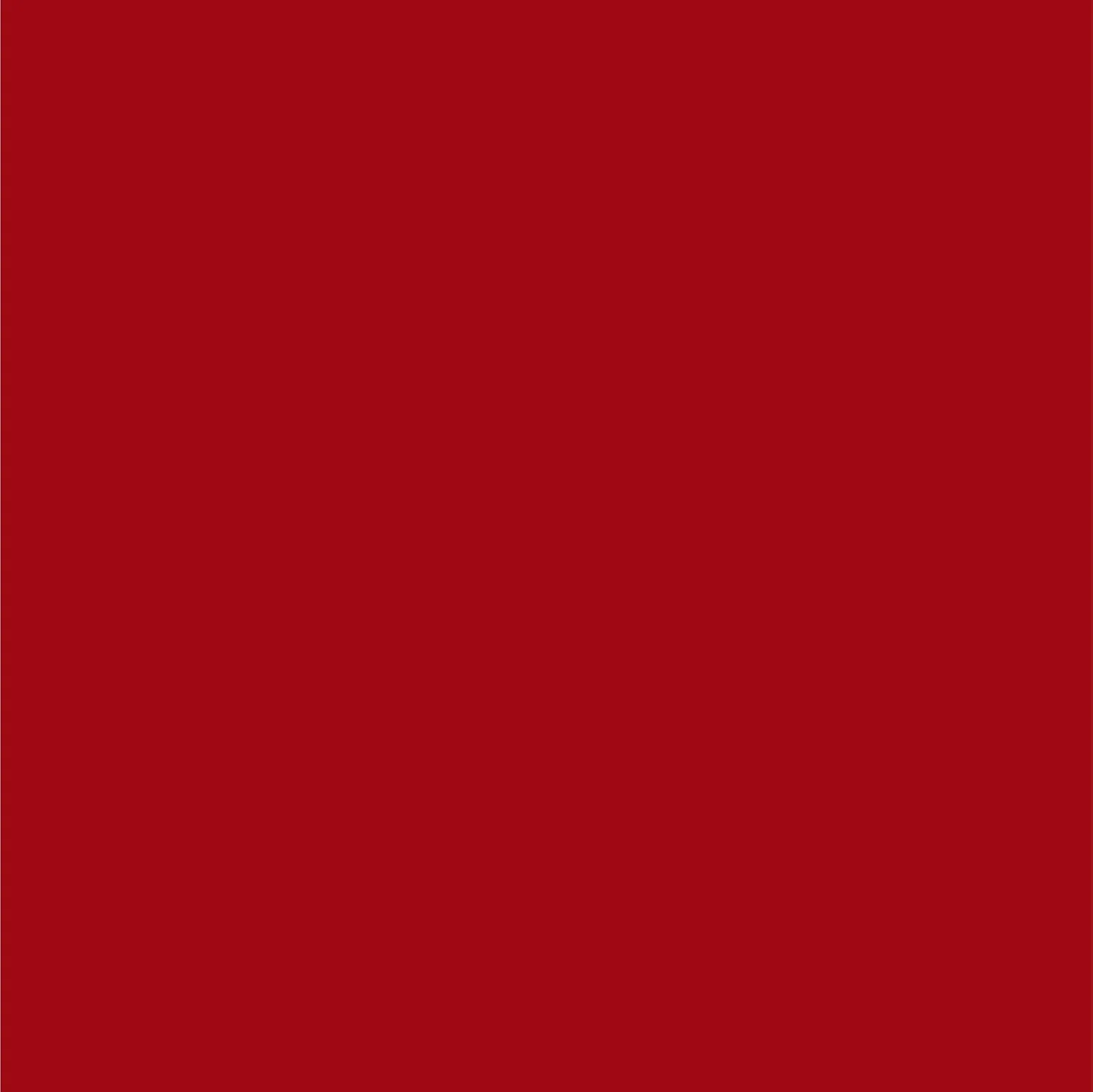 Dupli-Color Perfect Match Automotive Spray Paint