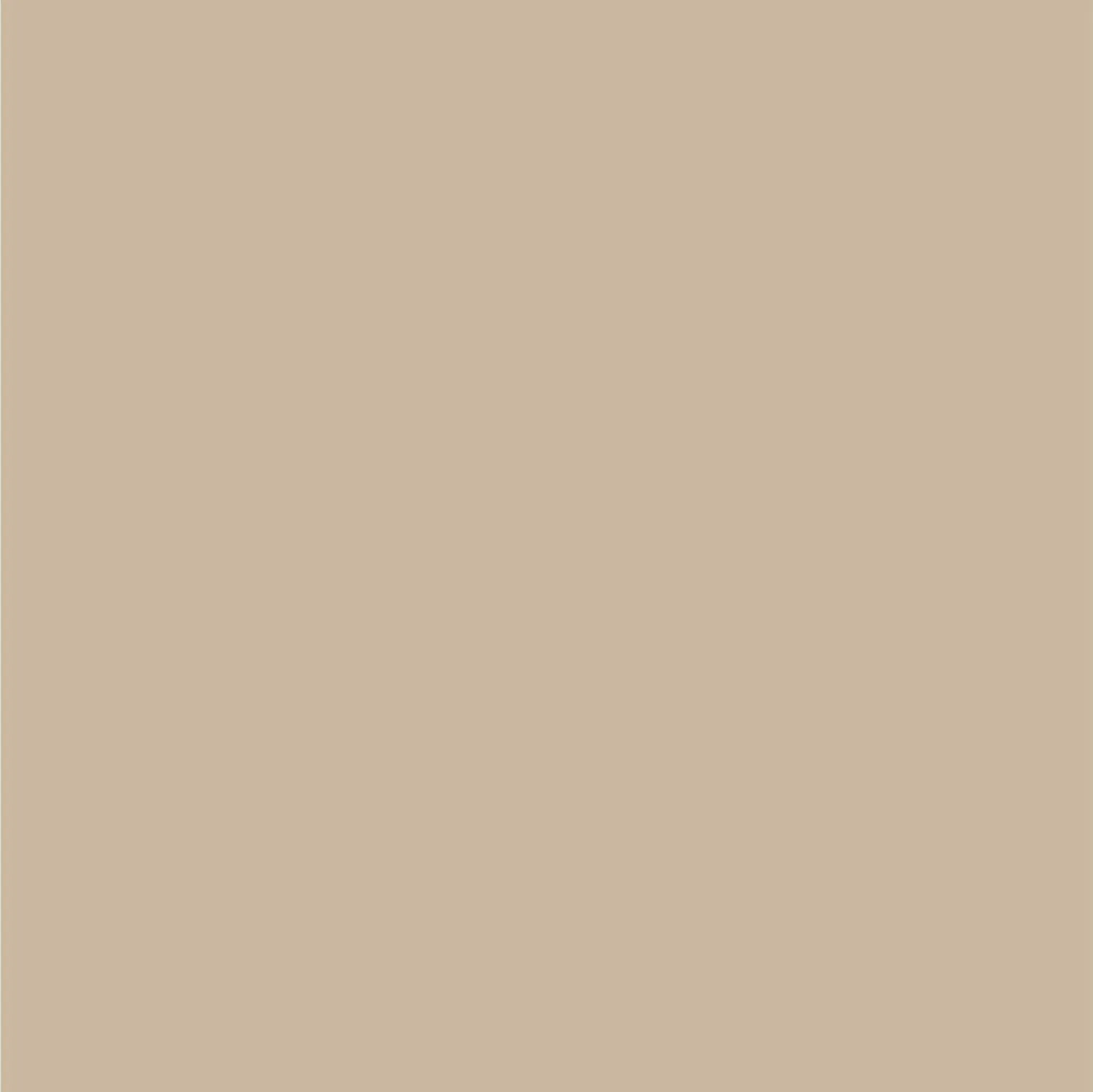 Dupli-Color Perfect Match Automotive Spray Paint