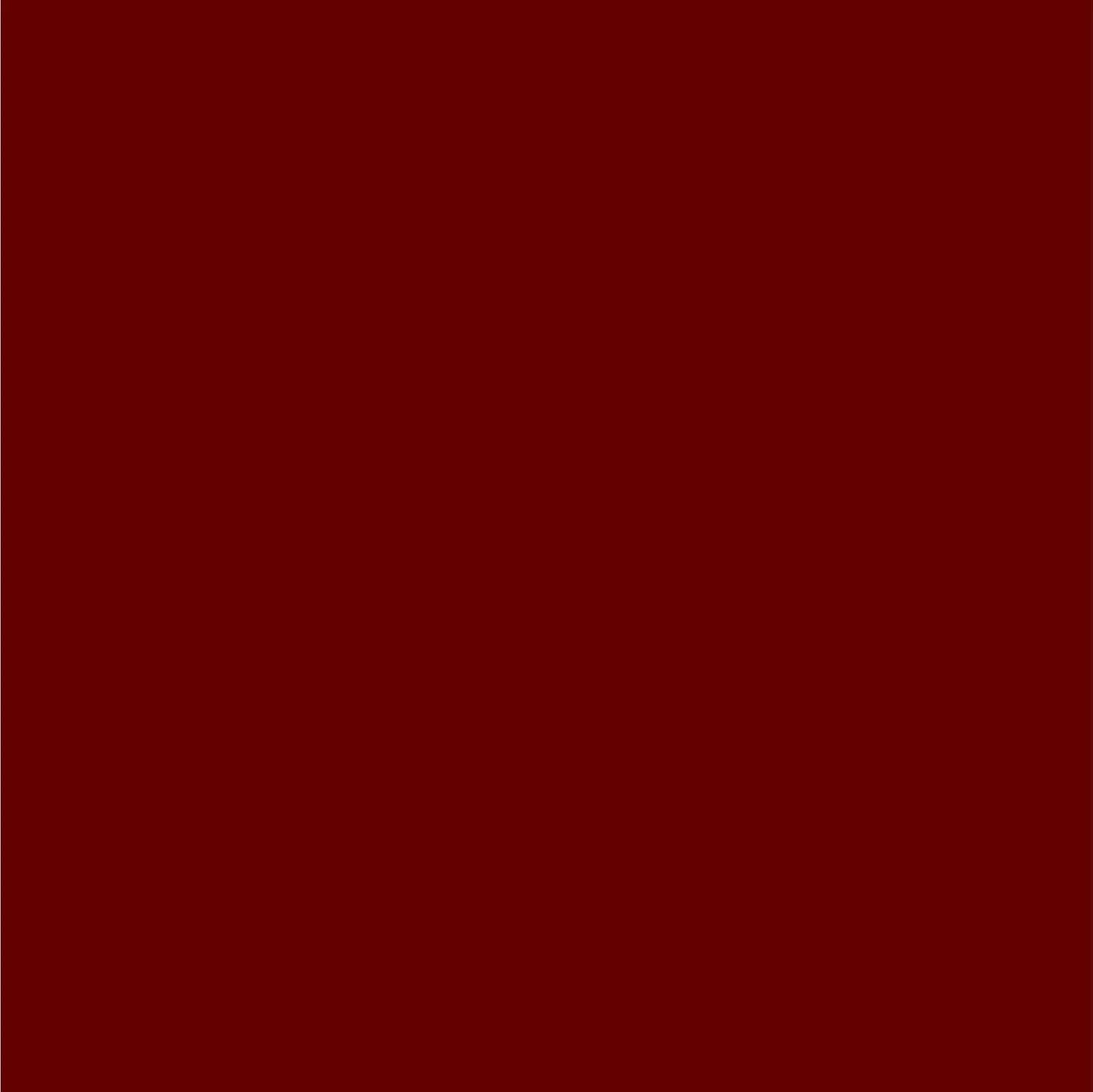Dupli-Color Perfect Match Automotive Spray Paint