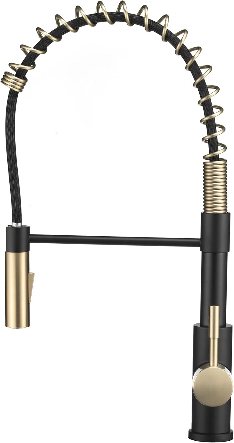 Dura Faucet DF-MK504SLK RV Swivel High-Arc Pull-Down Kitchen Faucet
