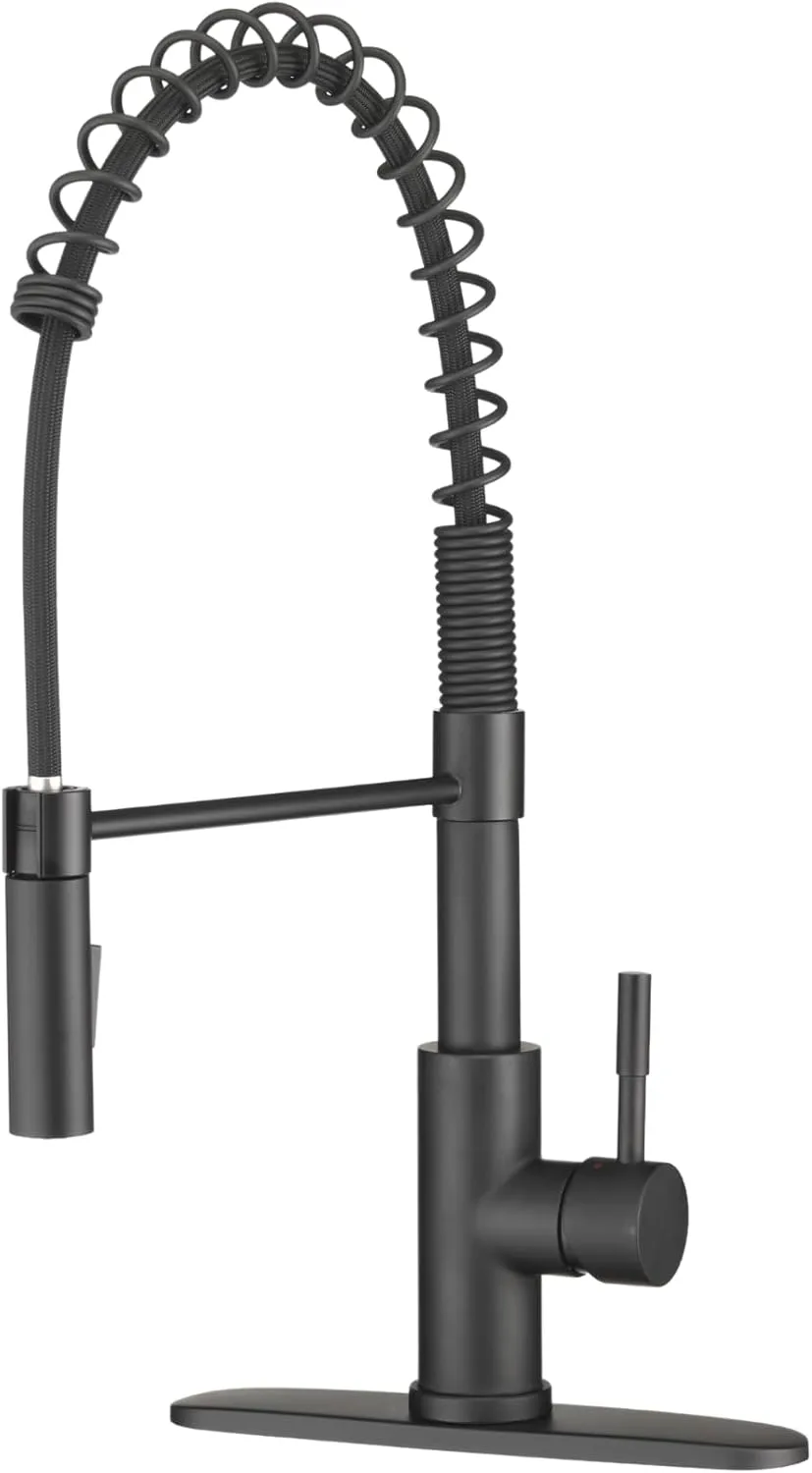 Dura Faucet DF-MK504SLK RV Swivel High-Arc Pull-Down Kitchen Faucet