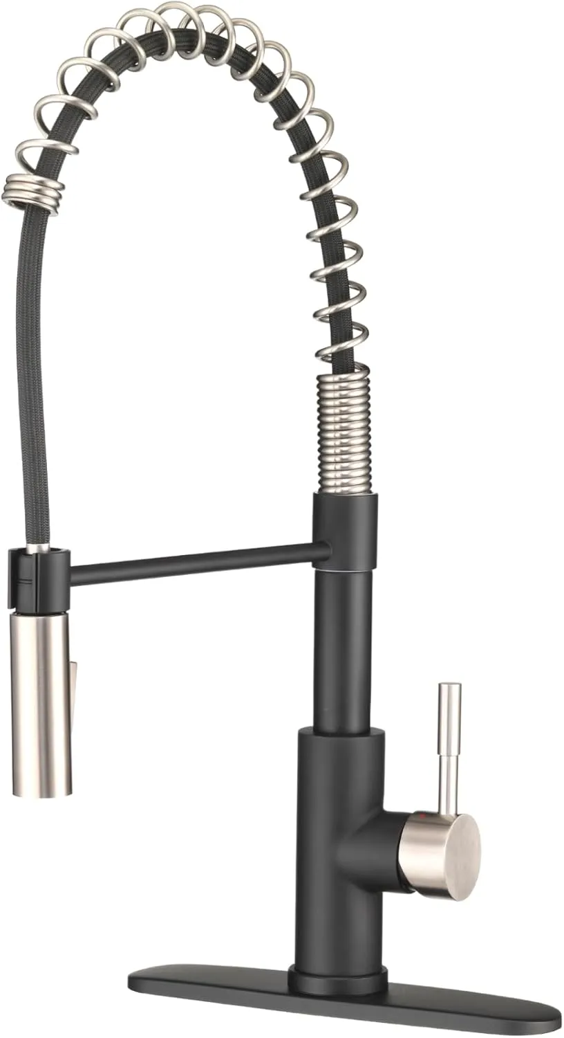 Dura Faucet DF-MK504SLK RV Swivel High-Arc Pull-Down Kitchen Faucet