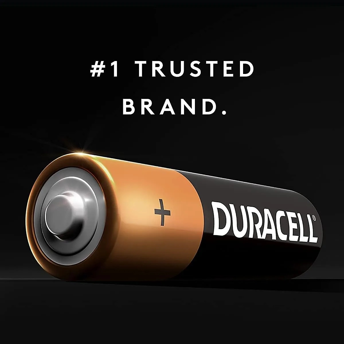 DURACELL CopperTop Alkaline Battery, AA, 224/Carton (MN1500B4Z)