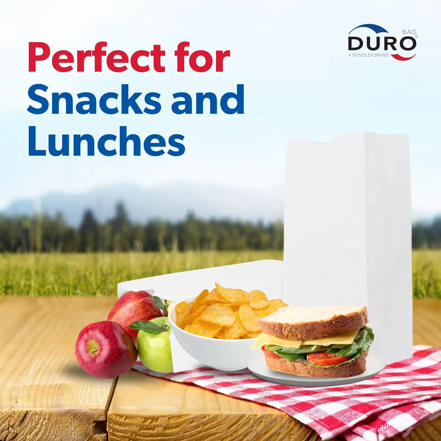 Duro 4# White Paper Bags 500-Count, White Paper Lunch Bags for Popcorn, Candy, Snacks & Treats