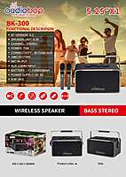 Oudiobop BK-300 Portable Wireless Karaoke Speaker with Dual Microphones