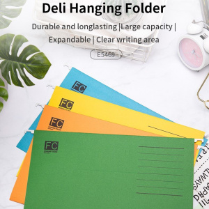 DELI E5469 FC SUSPENSION FILE