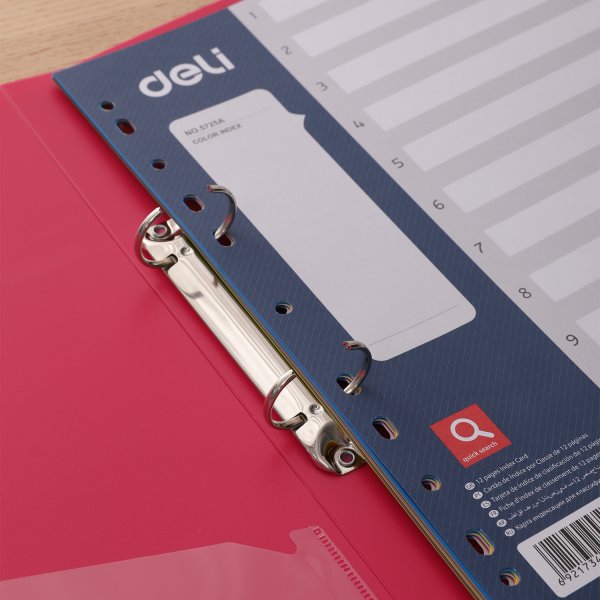 DELI F/DIVIDER E5725A 1-12 PVC COLOR