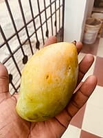 Mango - Kilimooku 5kg