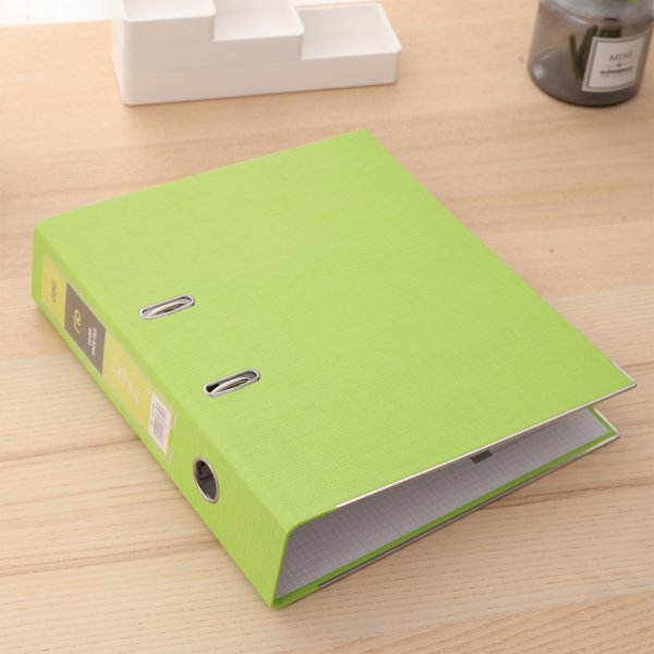 DELI B20160 A4 RIO PVC BOXFILE GREEN