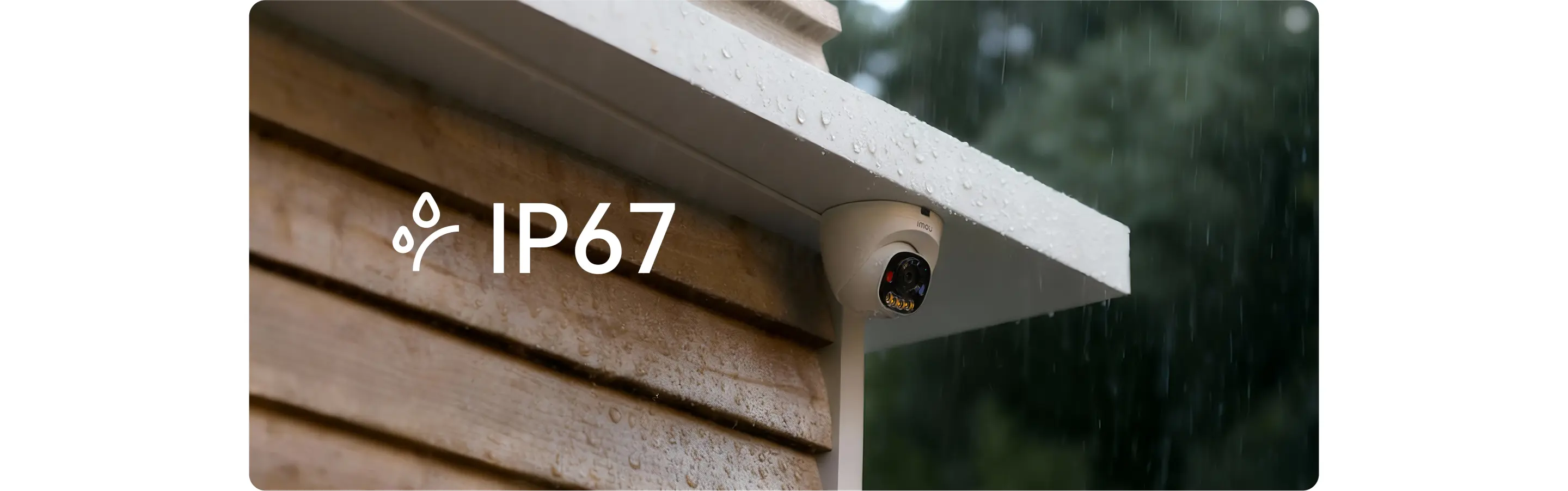 PS8D (5MP-PoE-Dome-Mic) Camera