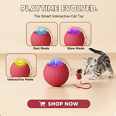Electronic Ball