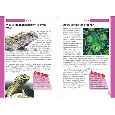 Children's Encyclopedia Nature Book for Kids - Discover Plants, Animals & Ecosystems | Fun Facts, Stunning Images & Nature's Wonders