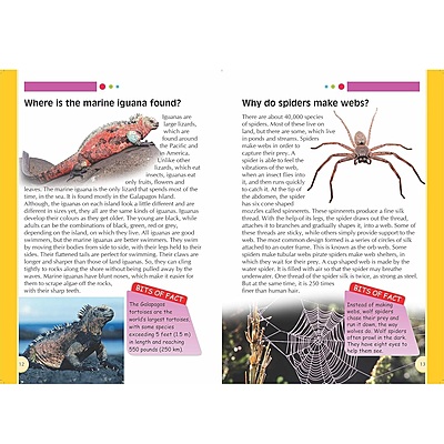 Children's Encyclopedia Nature Book for Kids - Discover Plants, Animals & Ecosystems | Fun Facts, Stunning Images & Nature's Wonders