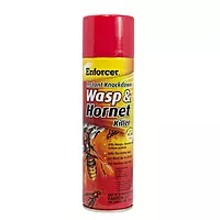 Enforcer Instant Knockdown Wasp & Hornet Killer Spray, 16 oz, 12/Case