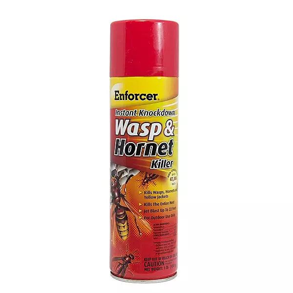 Enforcer Instant Knockdown Wasp & Hornet Killer Spray, 16 oz, 12/Case
