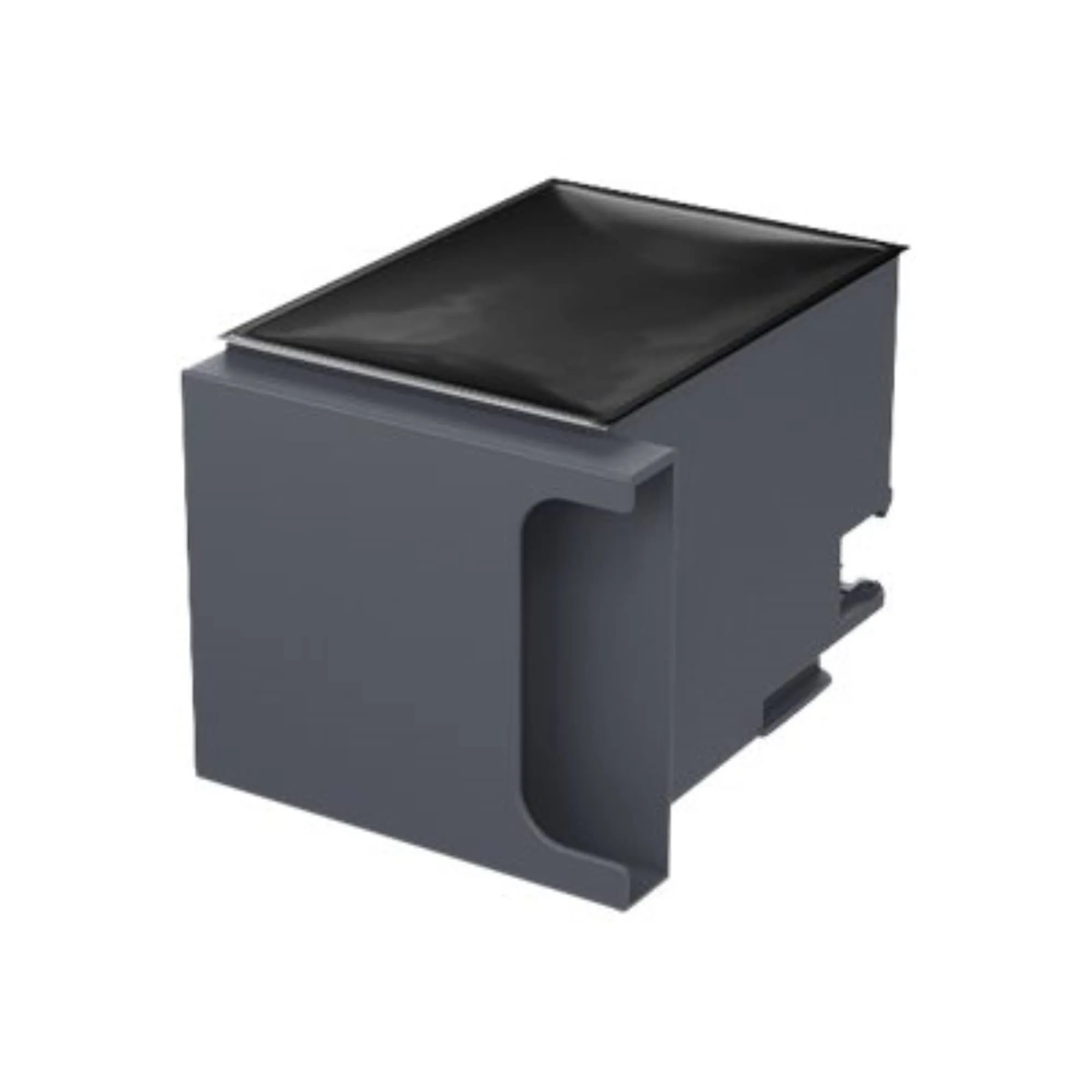 Epson Ink Maintenance Box for WF-C869R