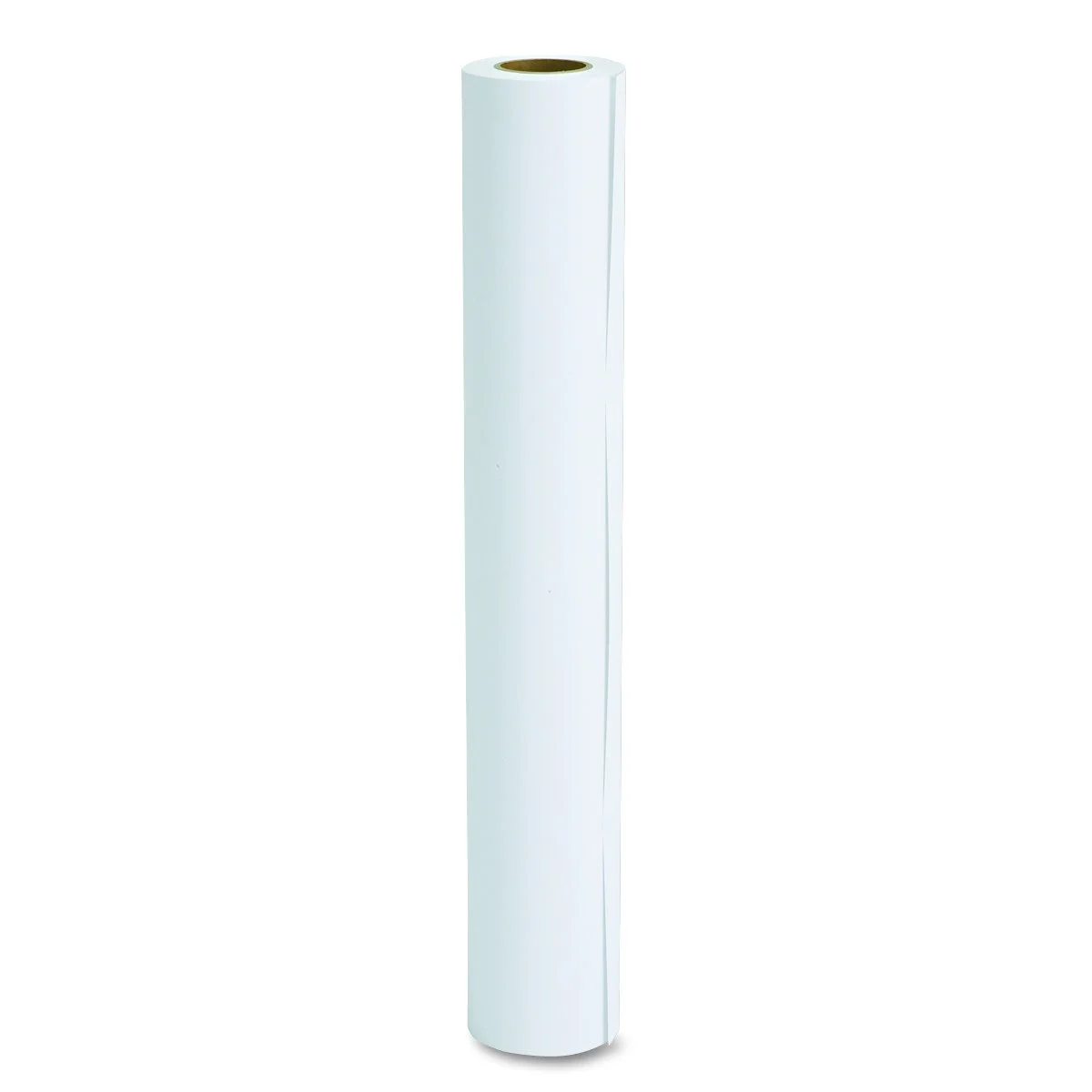 Epson S041295 Presentation Matte Paper, 24" x 82 ft, White