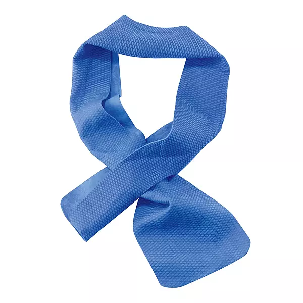 Ergodyne Chill Its 6603 Cooling Neck Wrap, Long Lasting Cooling Relief, Blue 4 in x 29-1/2 in 1-Pack Neck Wrap