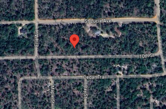 368 SE 10th Street - Affordable .45 Acre Lot in Interlachen