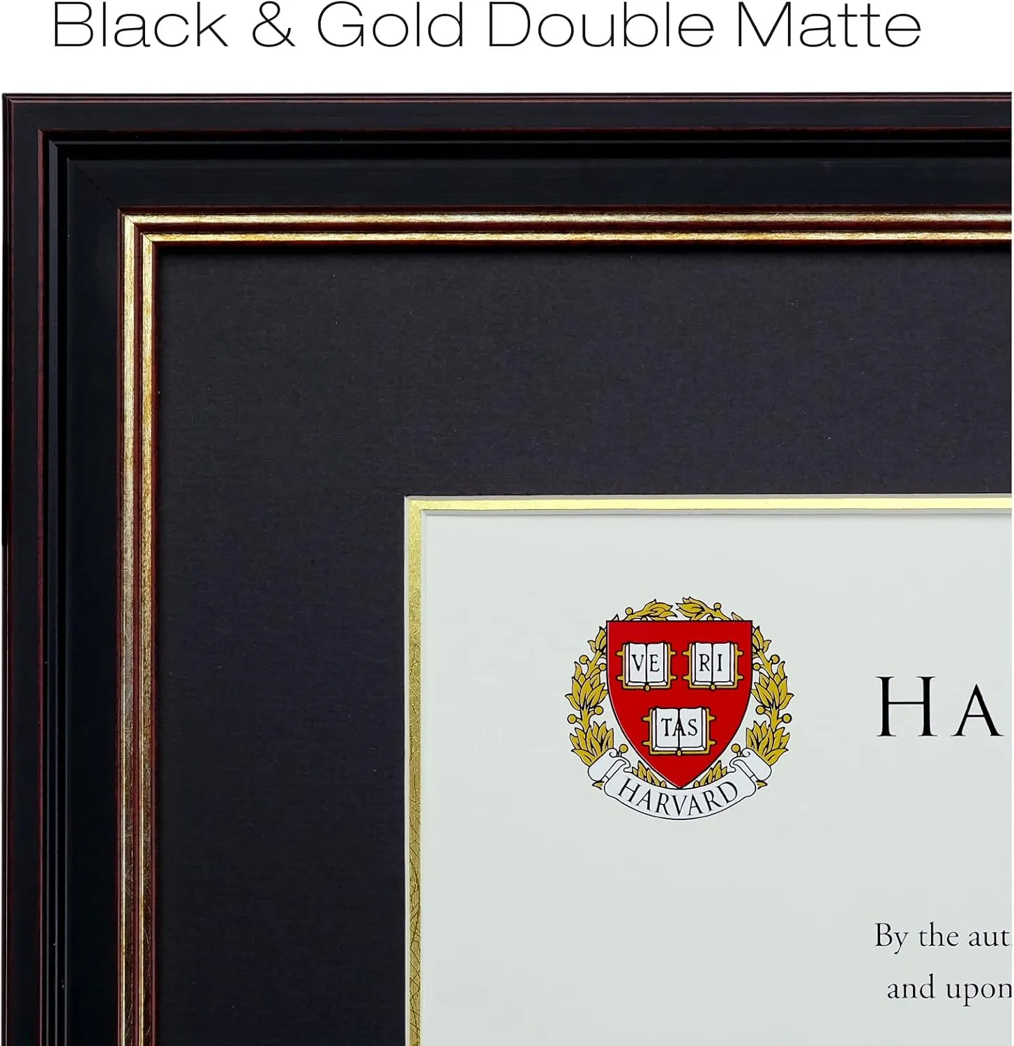 EXCELLO GLOBAL PRODUCTS Photo Document Frame: 11" x 14" with Double Mat Graduation Diploma Certificate Holder Wall Frame