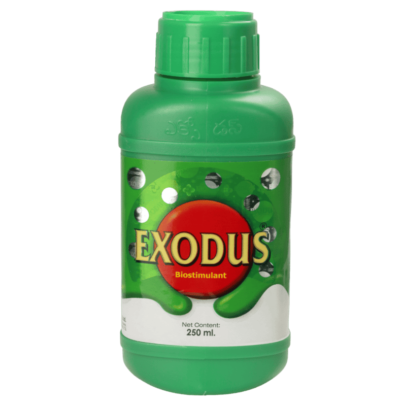 Exodus