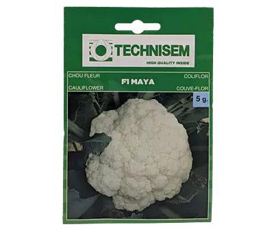 CAULIFLOWER F1 MAYA