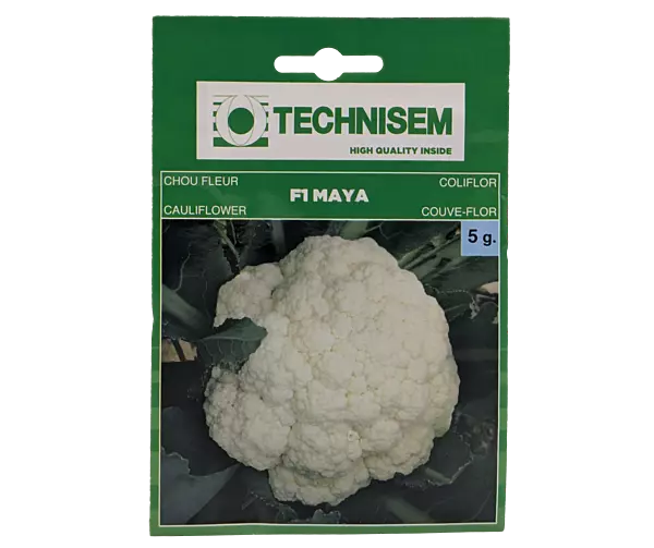 CAULIFLOWER F1 MAYA