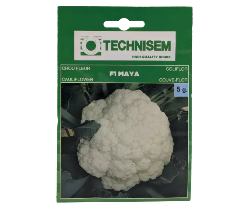 CAULIFLOWER F1 MAYA