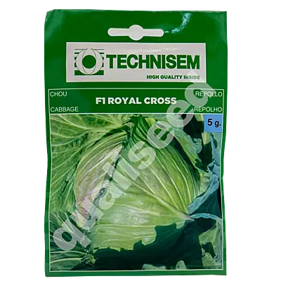 CABBAGE ROYAL CROSS