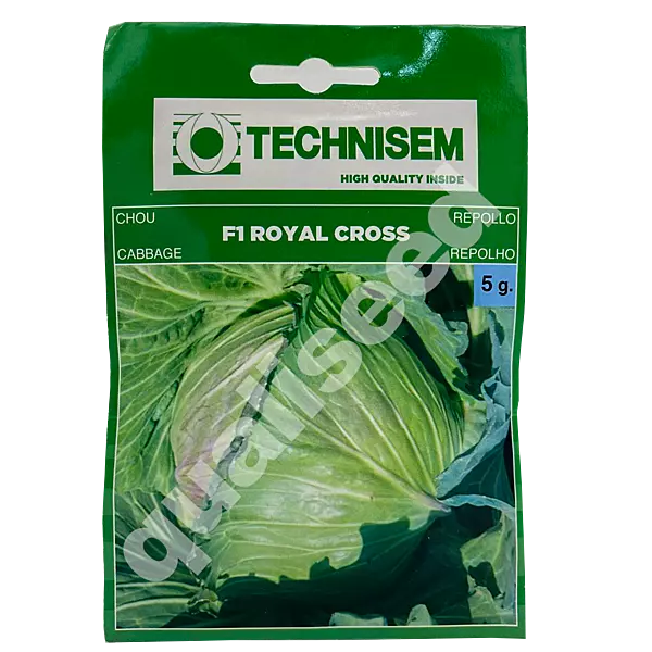CABBAGE ROYAL CROSS