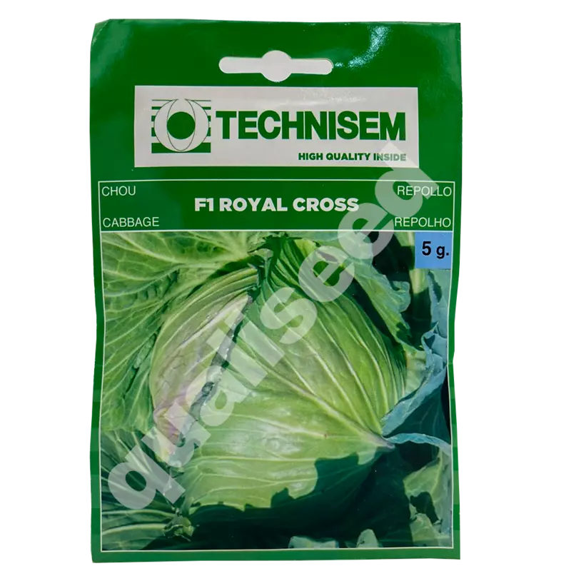 CABBAGE ROYAL CROSS