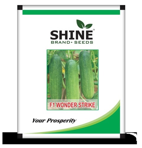 Cucumber Wonder Strike F1 - Shine Brand Seeds (25 Gm)