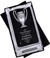 Winner Cup Desk Trophy with stand | Black Plate