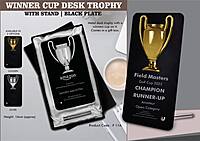Winner Cup Desk Trophy with stand | Shiny Chrome Cup with Black Plate