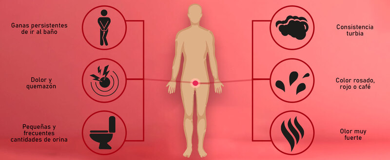 Vitaminas para el tracto Urinario