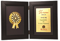 Book Style Folding Trophy with Award Motif