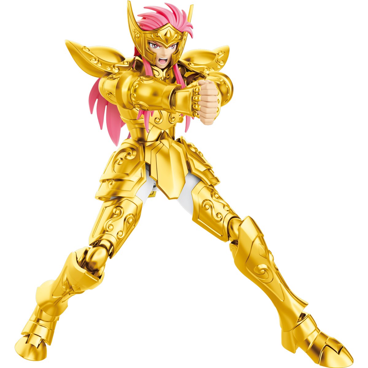 Aquarius Camus Saint Seiya Model Kit